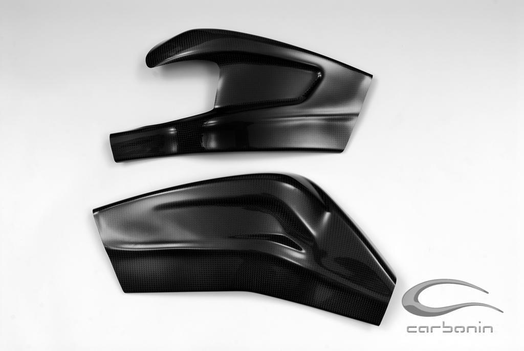 BMW S 1000 RR 2010 - 2018 swingarm protectors (silicon fitting) Carbon Fiber